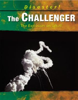 The Challenger: The Explosion on Liftoff image number 0