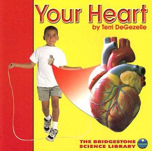 Your Heart image number 0