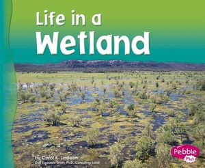 Life in a Wetland image number 0