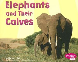 Elephants and Their Calves image number 0