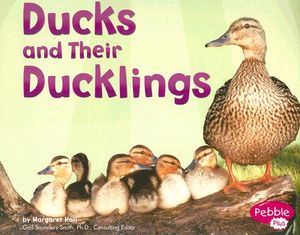 Ducks and Their Ducklings image number 0