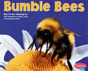 Bumble Bees image number 0