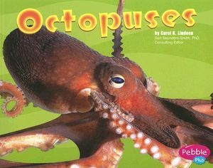 Octopuses image number 0