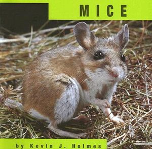 Mice image number 0