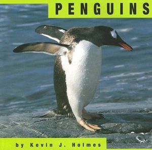 Penguins image number 0