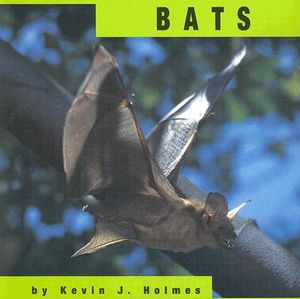 Bats image number 0