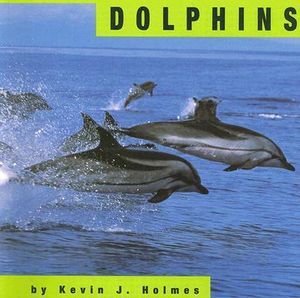 Dolphins image number 0