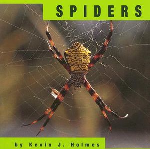 Spiders image number 0