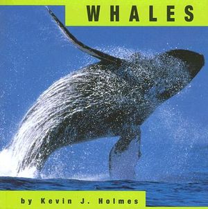 Whales image number 0