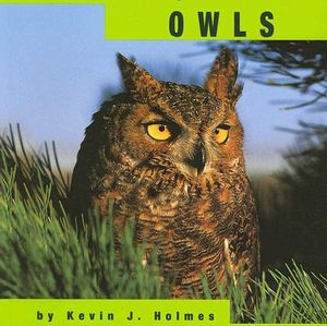 Owls image number 0