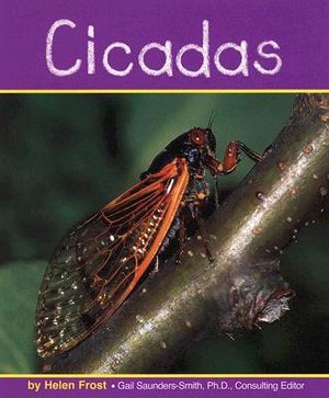 Cicadas image number 0