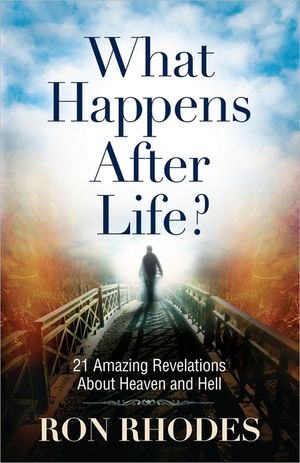 What Happens After Life? image number 0