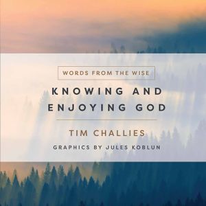 Knowing and Enjoying God image number 0