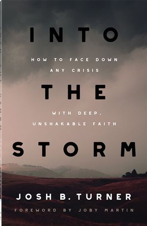 Into the Storm: How to Face Down Any Crisis with Deep, Unshakable Faith image number 0