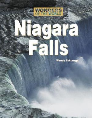 Niagara Falls image number 0