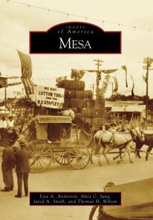 Mesa image number 0