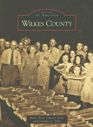 Wilkes County image number 0