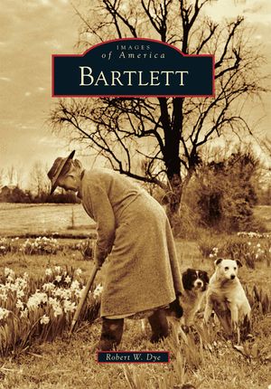 Bartlett image number 0