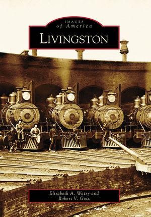 Livingston image number 0