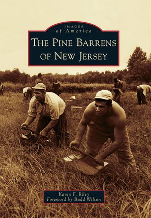 The Pine Barrens of New Jersey image number 0