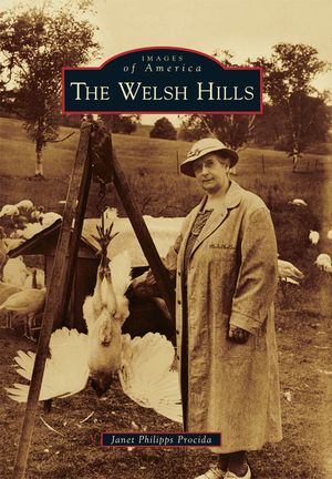 The Welsh Hills image number 0
