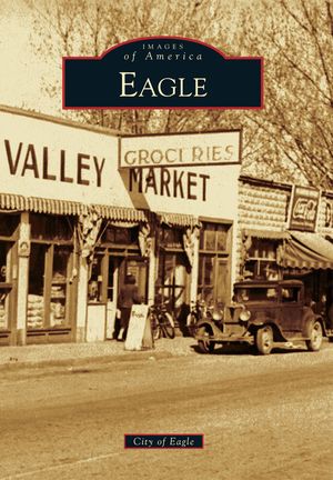 Eagle image number 0