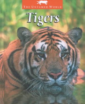 Tigers image number 0