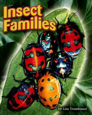 Insect Families image number 0