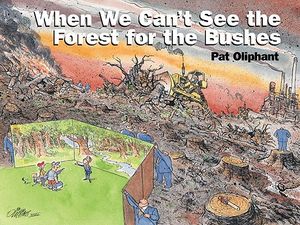 When We Can't See the Forest for the Bushes image number 0