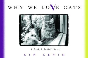 Why We Love Cats image number 0