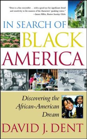 In Search of Black America: Discovering the Africanamerican Dream image number 0