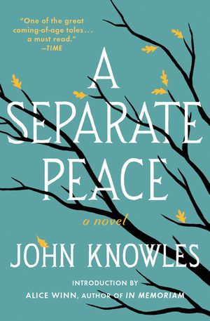 A Separate Peace image number 0