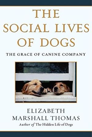 The Social Lives of Dogs: The Grace of Canine Company image number 0