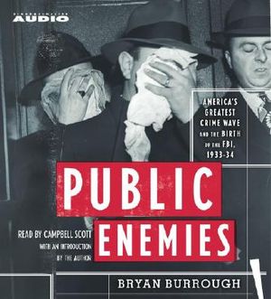 Public Enemies image number 0