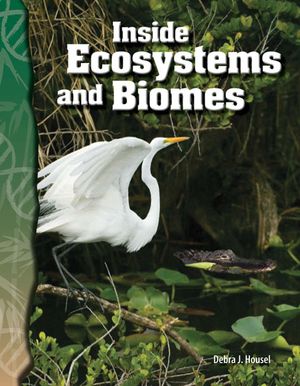 Inside Ecosystems and Biomes image number 0