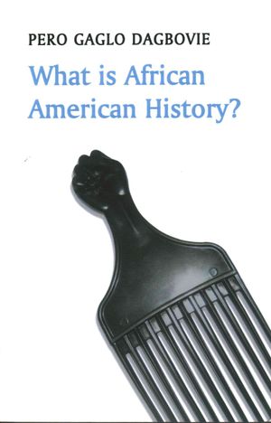 What Is African American History? image number 0