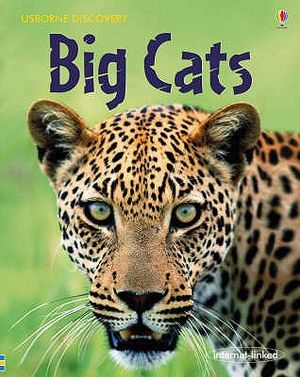 Big Cats. Written by Jonathan Sheikh-Miller image number 0