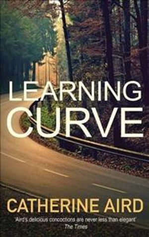 Learning Curve image number 0