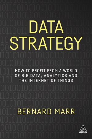Data Strategy: How to Profit from a World of Big Data, Analytics and the Internet of Things image number 0