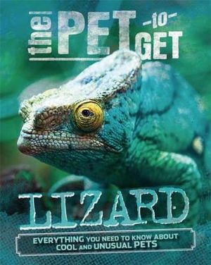 The Pet to Get: Lizard image number 0
