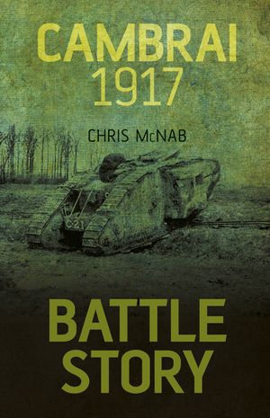Cambrai 1917 image number 0