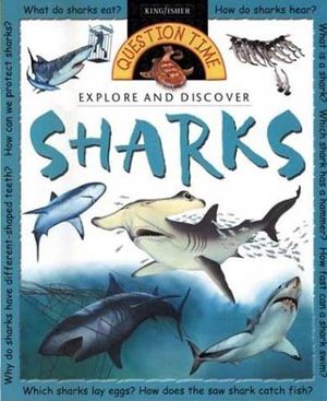 Explore and Discover: Sharks image number 0