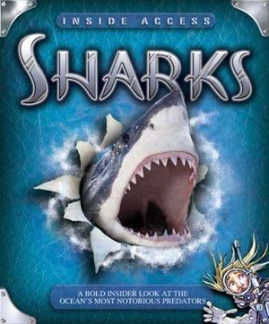 Sharks image number 0