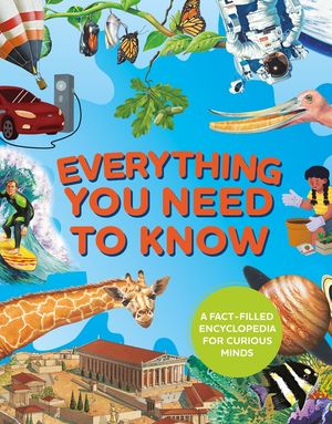 Everything You Need to Know image number 0