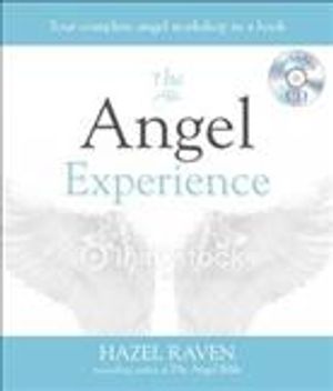 The Angel Experience image number 0
