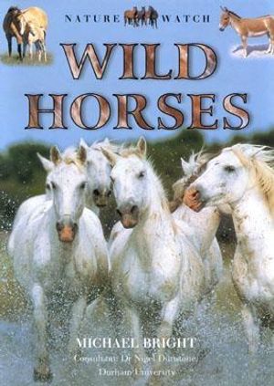 Wild Horses image number 0