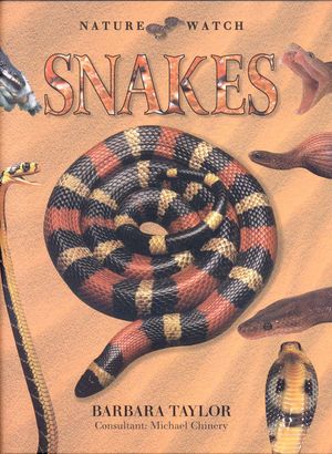 Snakes image number 0
