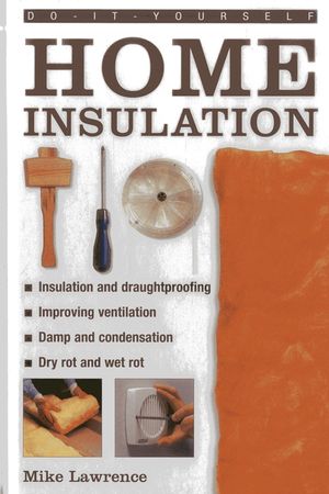 Do-It-Yourself: Home Insulation image number 0