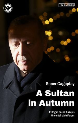 A Sultan in Autumn: Erdogan Faces Turkey's Uncontainable Forces image number 0
