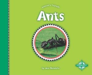 Ants image number 0